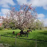 度假居 Harle-casa.ostfriesland Altfunnixsiel