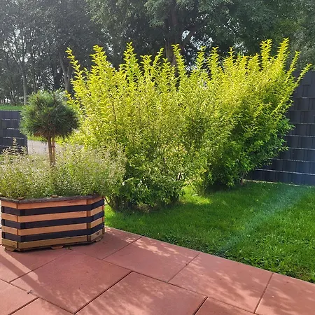 Holiday home Harle-casa.ostfriesland