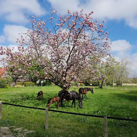 Сasa de vacaciones Harle-casa.ostfriesland Altfunnixsiel
