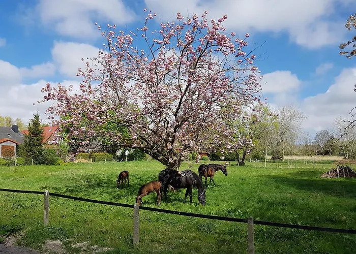 別荘 Harle-casa.ostfriesland Altfunnixsiel